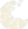 CaladeFichier 37.png