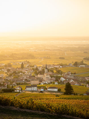 A private day to discover the Beaujolais vineyards