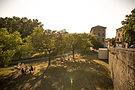 8S4A9756.jpg
