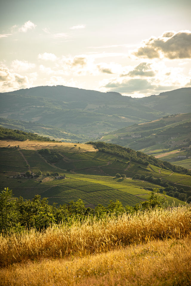 Beaujolais wine tour from Lyon