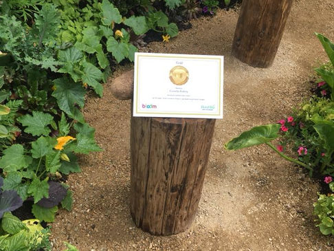 Part of Bloom award winning garden made at MCSS