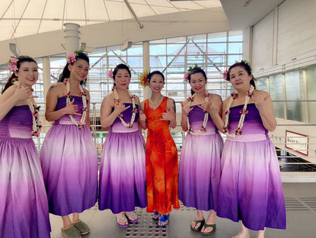 The HULA 松山観光港
