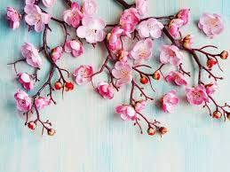 Cherry Blossom Tea Saturday, March 26