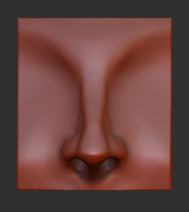 Nose Render.jpg