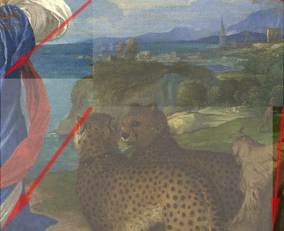 7%20-%20Pan%20%26%20Zoom%20Out_edited.jp