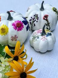 October 16 Lunch & Learn • 12pm Fall Bloom Bar
