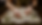 0W8A2668_edited.png