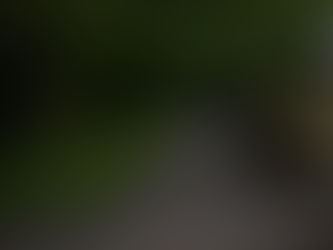 7月ポートレート