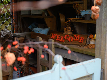 ボタンウサギさんとの撮影