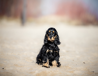 IMG_4464_Facetune_01-03-2022-22-16-32.HEIC