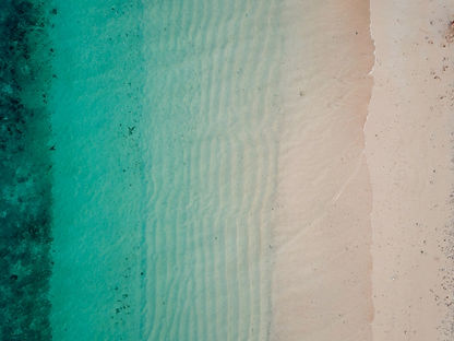 damon-hall-Dz5bJq_nEng-unsplash (1)_edited.jpg