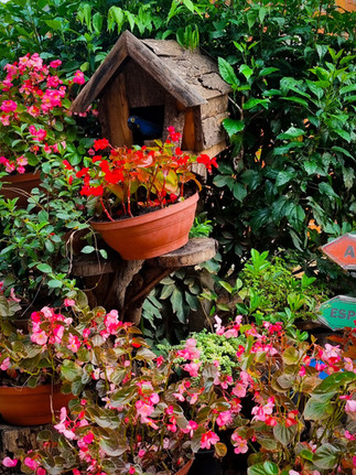 Uma casinha de passarinho no meio de um jardim