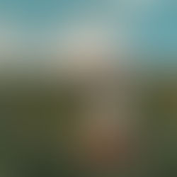 Roteiro de 1 dia em Holambra: cidade das flores e lugares instagramáveis