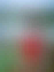 Uma menina posando para a foto em frente a um lago