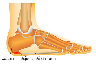 Reflexologia Podal para dores nos pés, pernas e equilíbrio de todo corpo.