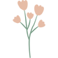 65.png