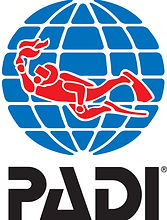 PADILogoVert4CTrp.jpg