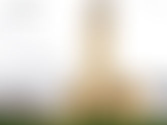 Sem tapetes coloridos e procissões, dia de Corpus Christi tem missa com portas fechadas em Toritama