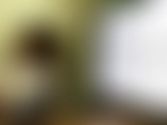 Pandemia - Prefeitura de Toritama promove treinamento com novas instruções para profissionais da saú