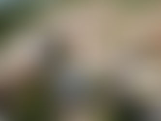 Taquaritinga do Norte tem 1º caso confirmado de coronavírus