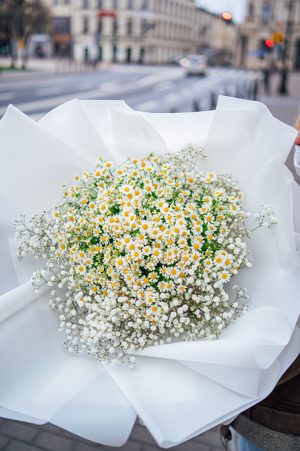 Thumbnail: Giant Bouquet "Camomile with Gipsowka"