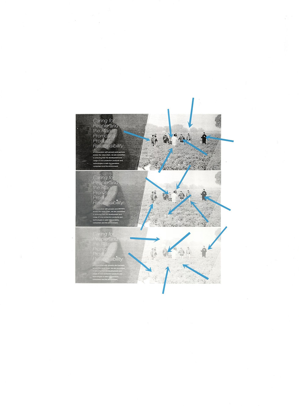 Thumbnail: Kirsten Stolle "Ground Cover" Mixed Media