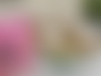 Banana Almond Flour Crinkle Cookies