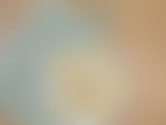 Lemon Almond Flour Crinkle Cookies