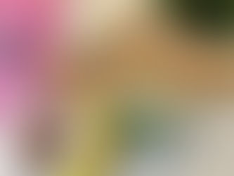 Banana Almond Flour Snickerdoodle Cookies