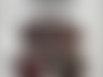 Cocoa Almond Flour Brownies