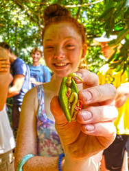 Belize Tropical Ecology Educational Travel Belize Tropical Ecology Educational Travel
