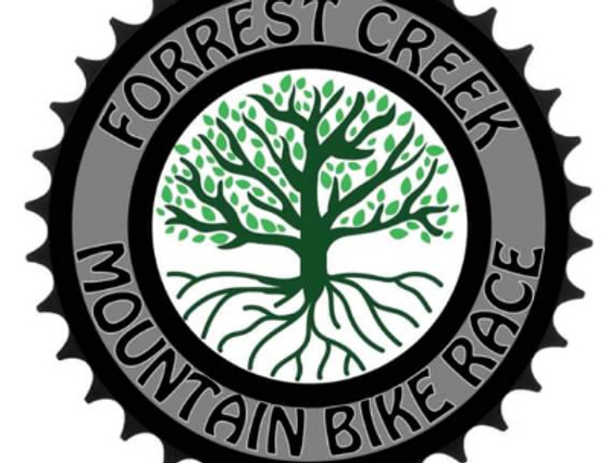 forrest-creek_edited_edited.jpg
