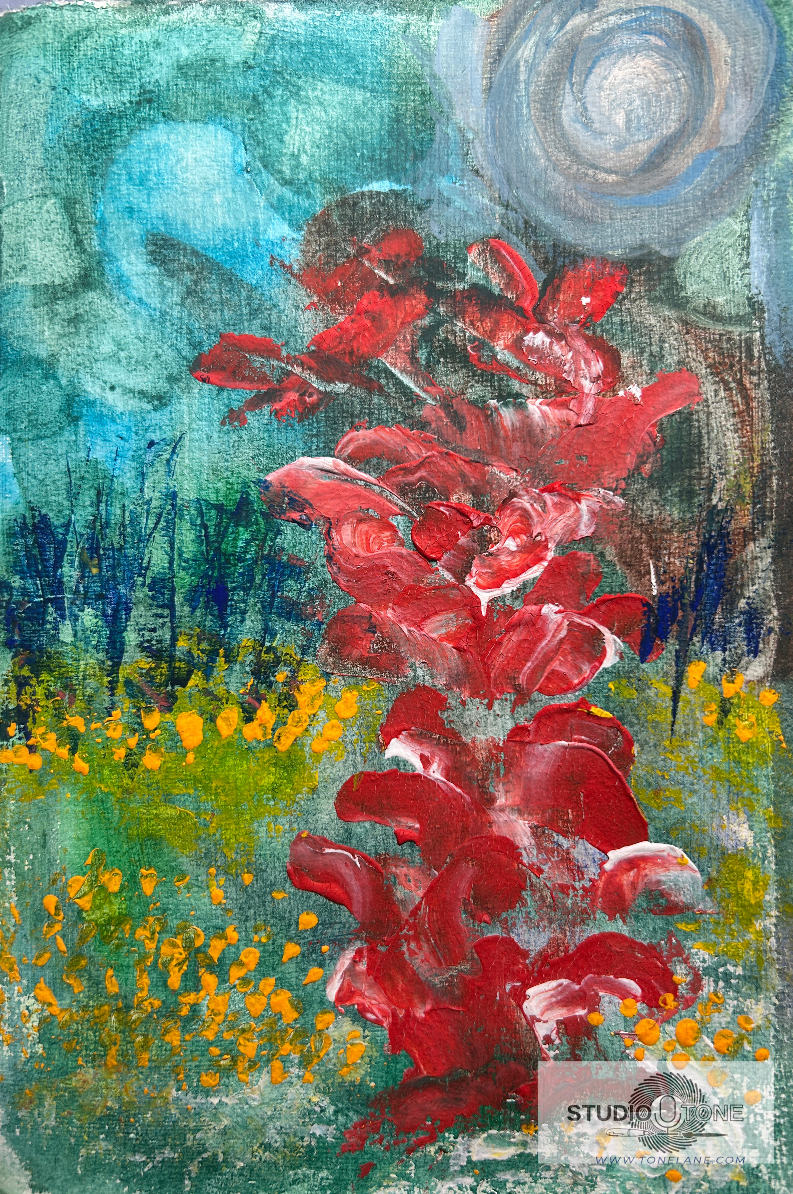 Night Flower Field