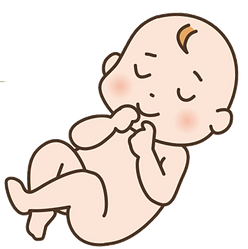 あかちゃん.png