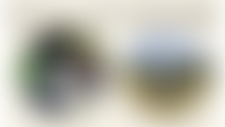 思い出いっぱいのお別れ散歩