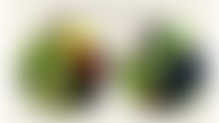 大根ほりをしました