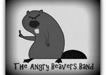 Angry Beavers
