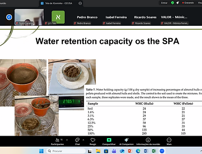 Captura de ecrã 2025-12-16 145345.png