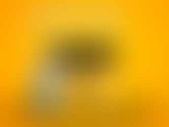 7 Reasons to Use Dumpster Rentals in Pleasant Grove, UT This Spring