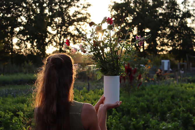 Pluck van het veld Cromvoirt