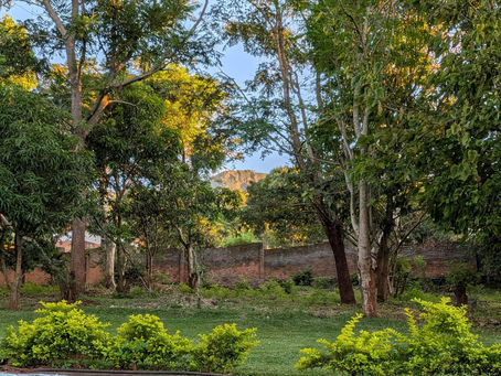 April Malawi Update