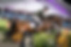 MLSJ_Loth-42.jpg
