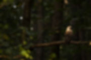 Untitled-6.jpg