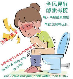 Olive Enzyme 全民见酵 酵素橄榄 宿便克星 Toilet