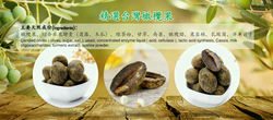 Olive Enzyme 全民见酵 酵素橄榄 宿便克星