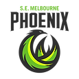 sem-phoenix-reverse_500x500 (1).png