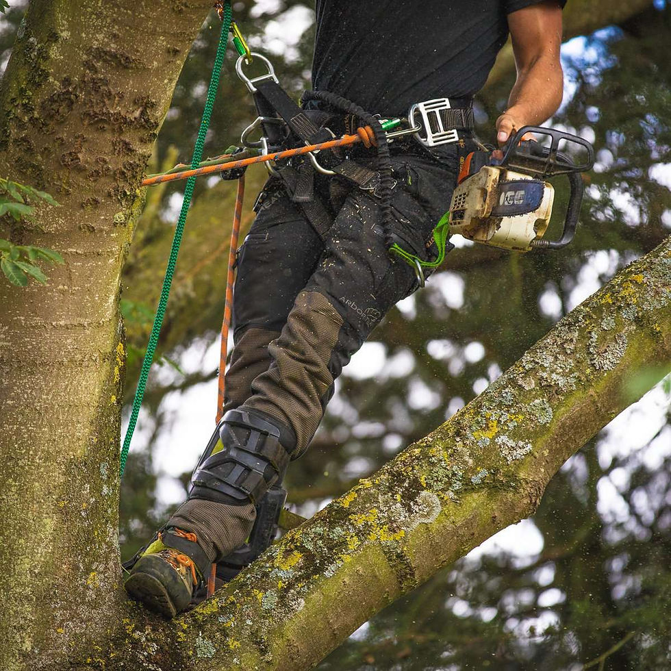 at4060-breatheflex-pro-chainsaw-trousers-design-a-class-1-black-619765.jpg