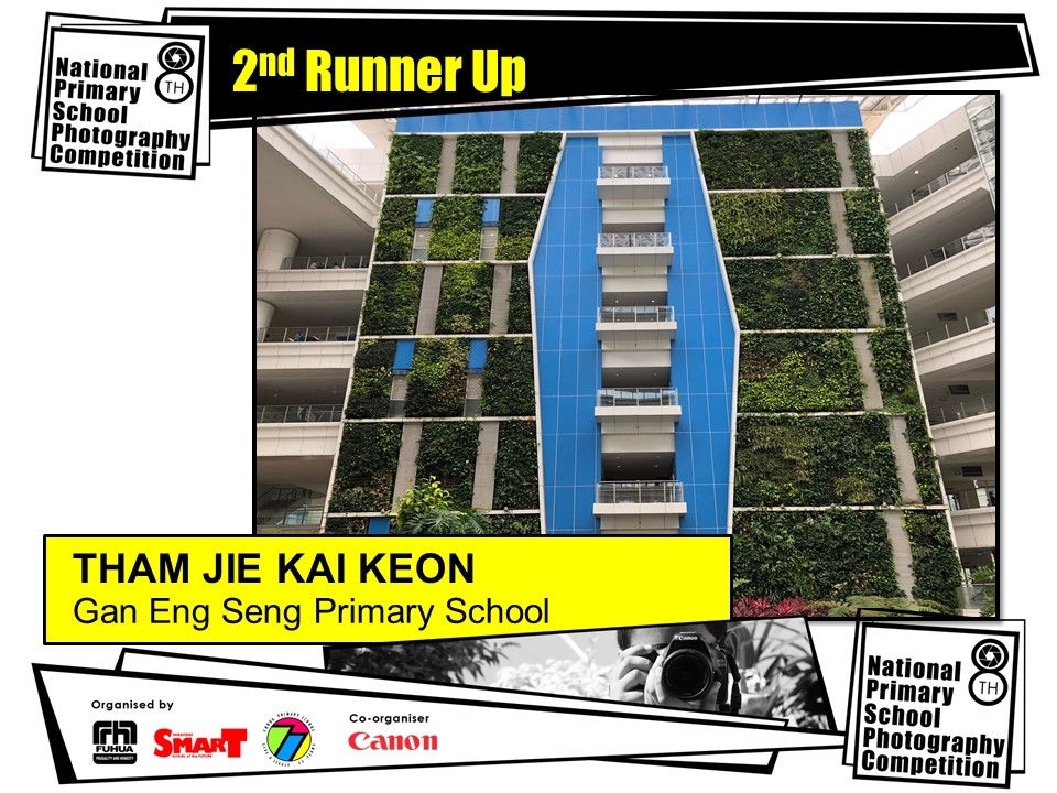 Slide19