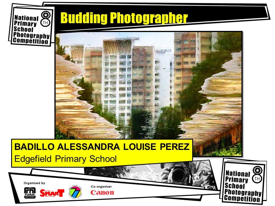 Slide17