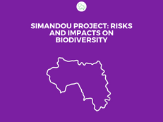 Simandou Project: Risks and impacts on biodiversity